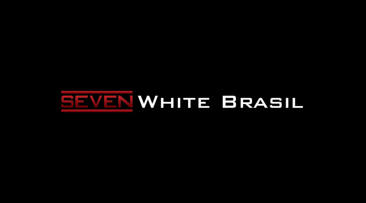 seven white brasil logistica logo oficial